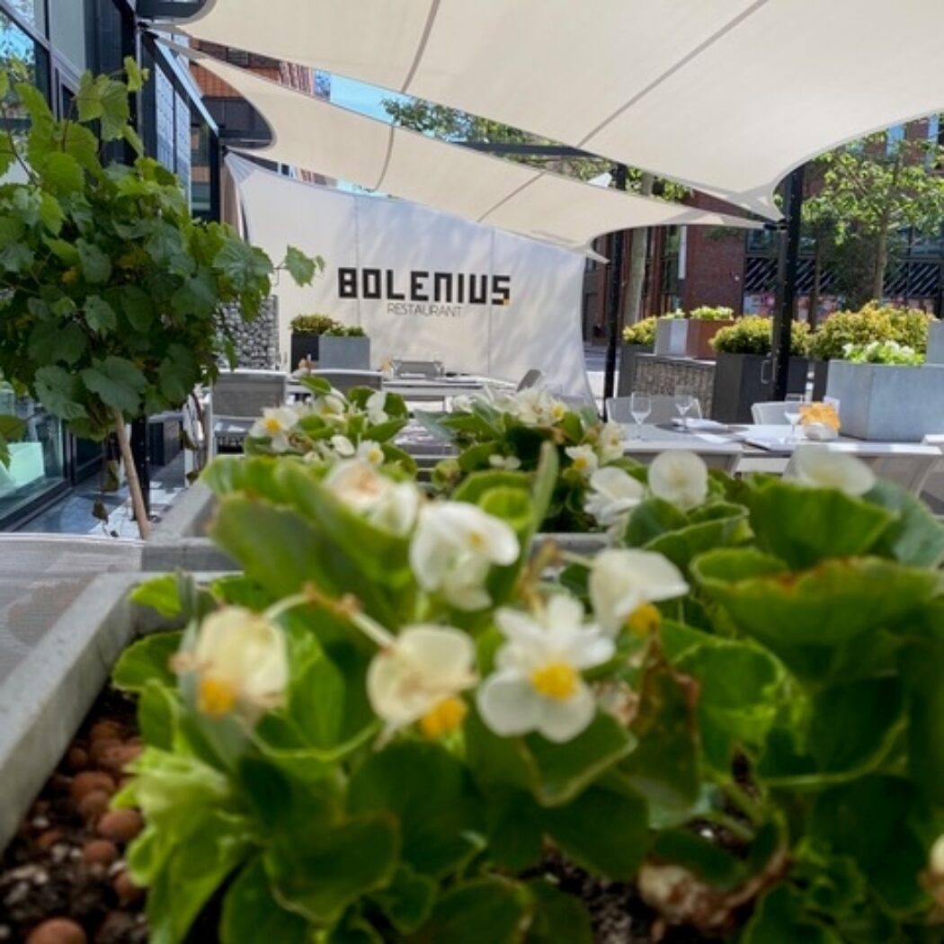 Zonnig buitenterras van restaurant Bolenius met witte zonwering, gedekte tafels en bloeiende plantenbakken.
