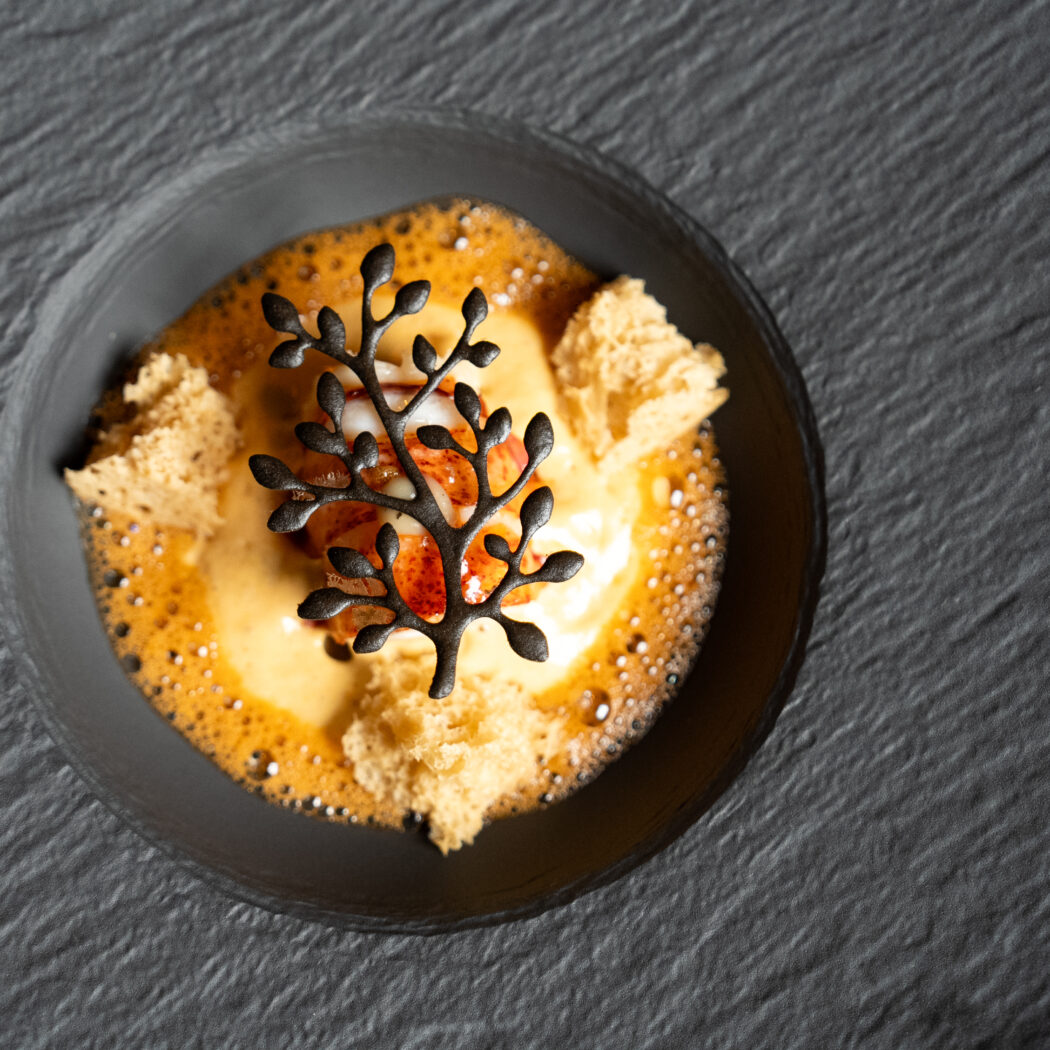 Een verfijnd kreeftgerecht met oranje saus, een zwarte takdecoratie en krokante stukjes geserveerd op een donker leisteenbord.