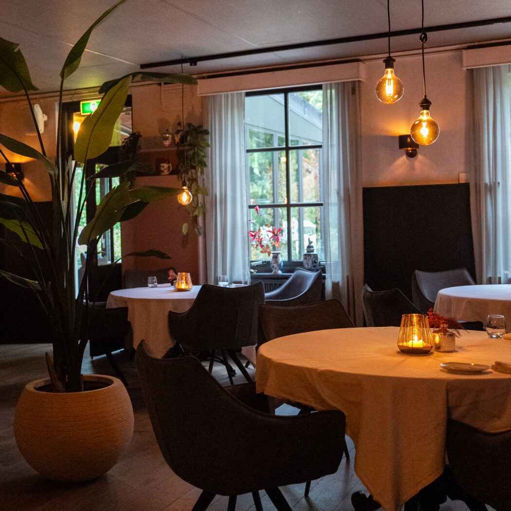 Sfeervol restaurant met gedekte tafels, een grote plant, warme kaarsverlichting en uitzicht op groen.