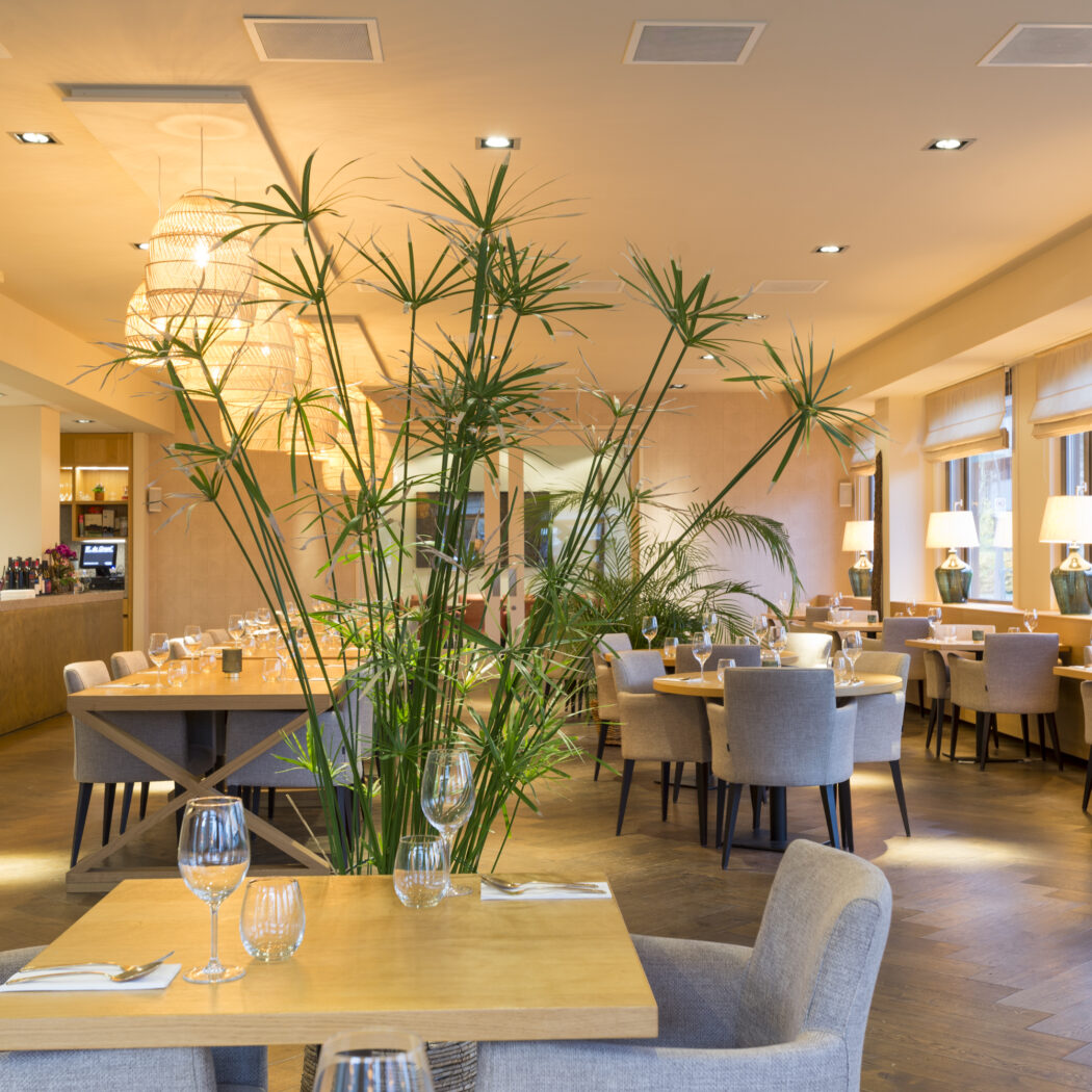 Stijlvol restaurant interieur met houten tafels, grijze stoelen, rieten lampen en weelderige groene planten.