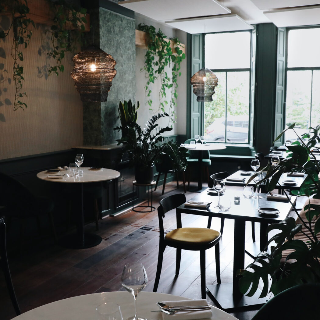 Sfeervol restaurantinterieur met donkergroene muren, hangplanten, geweven hanglampen en gedekte tafels.