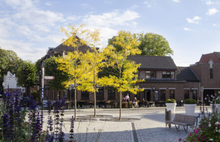 Hotel restaurant Jambon met zakelijke mogelijkheden