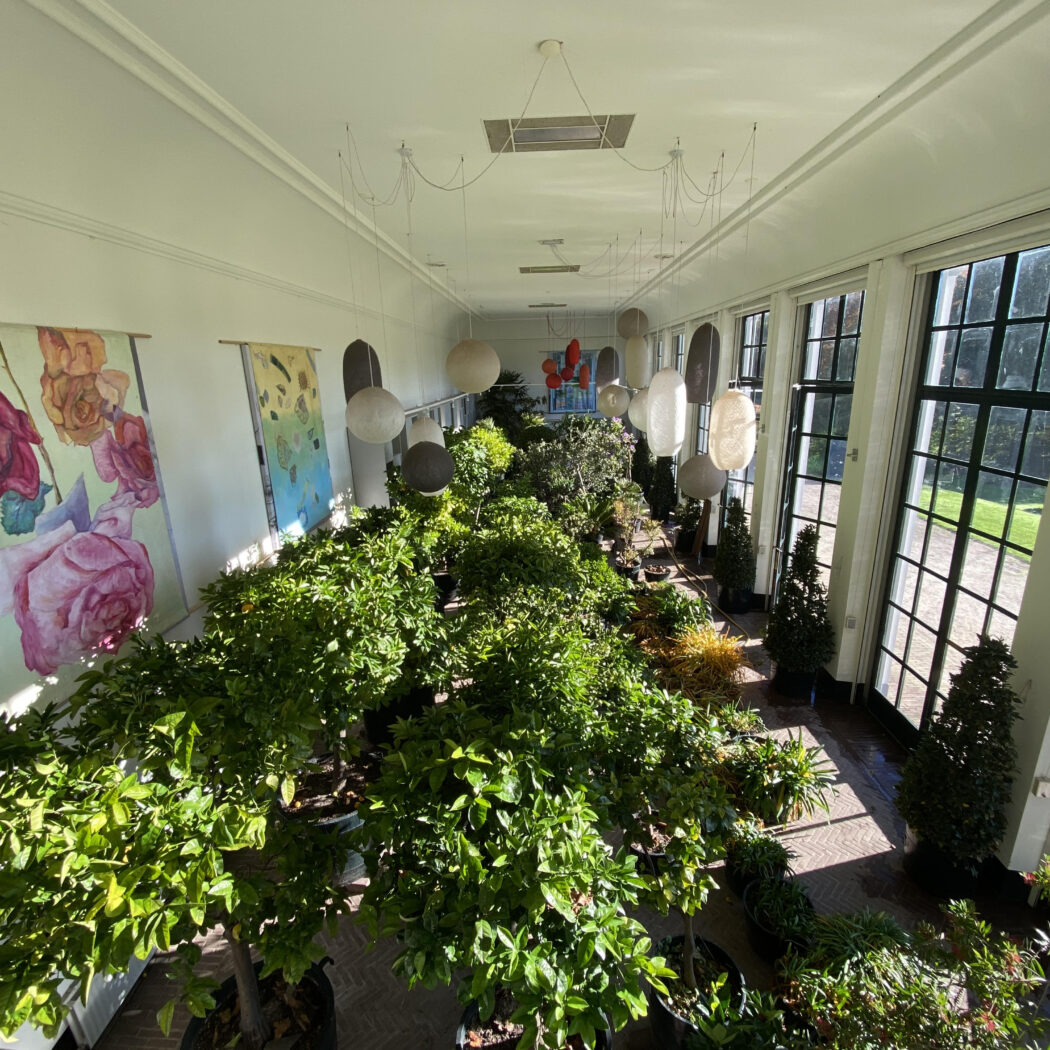 Ruime, lichte serre gevuld met rijen groene planten, hangende lantaarns en kunstwerken van rozen aan de muur.