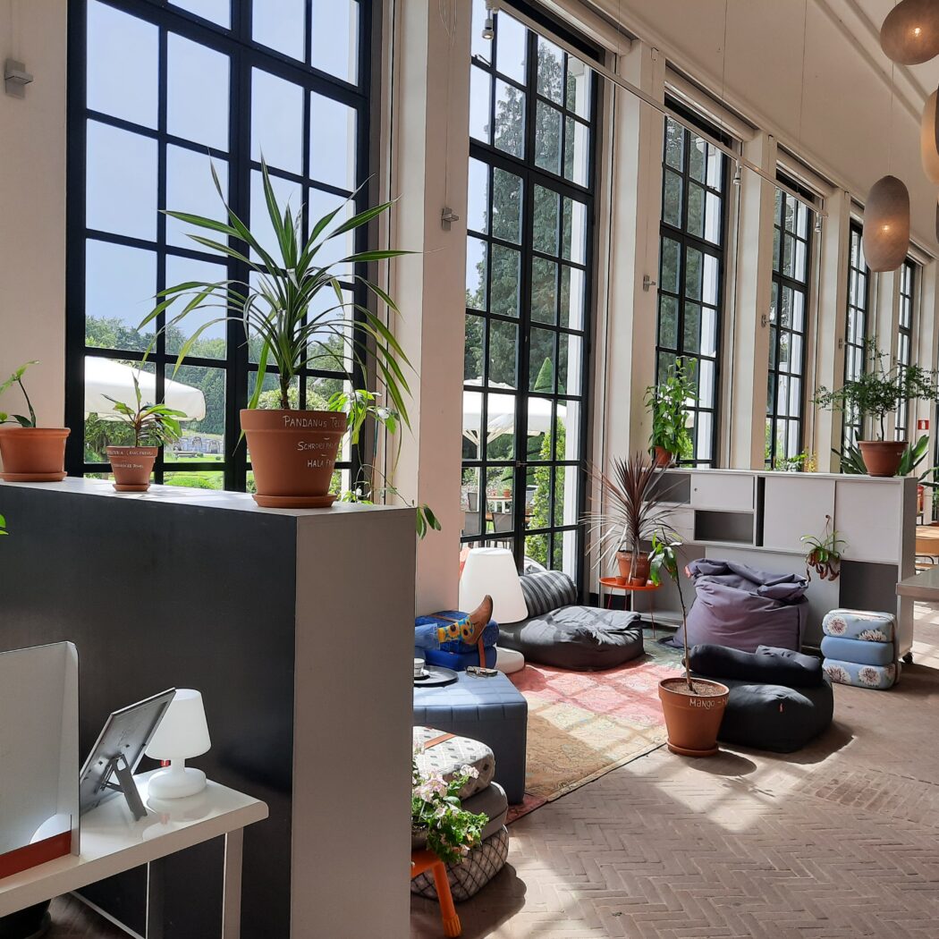 Lichte, ruime lounge met hoge ramen, zitzakken en diverse planten, zoals een Pandanus tectorius op de vensterbank.