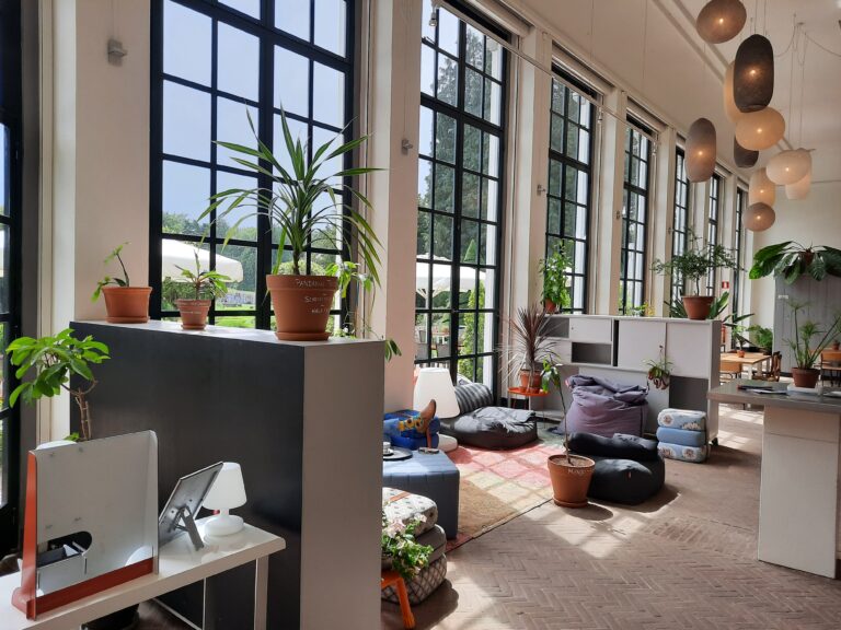 Lichte, ruime lounge met hoge ramen, zitzakken en diverse planten, zoals een Pandanus tectorius op de vensterbank.