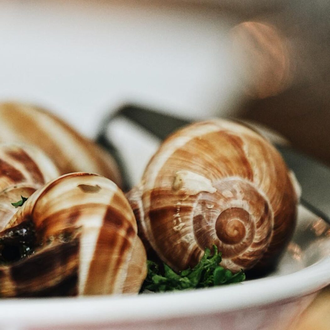 Drie escargots in schelpen met groene kruiden, geserveerd in een witte kom.