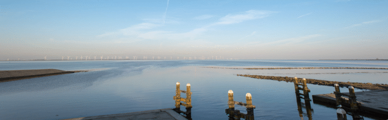 Schermafbeelding 2026-02-12 105747