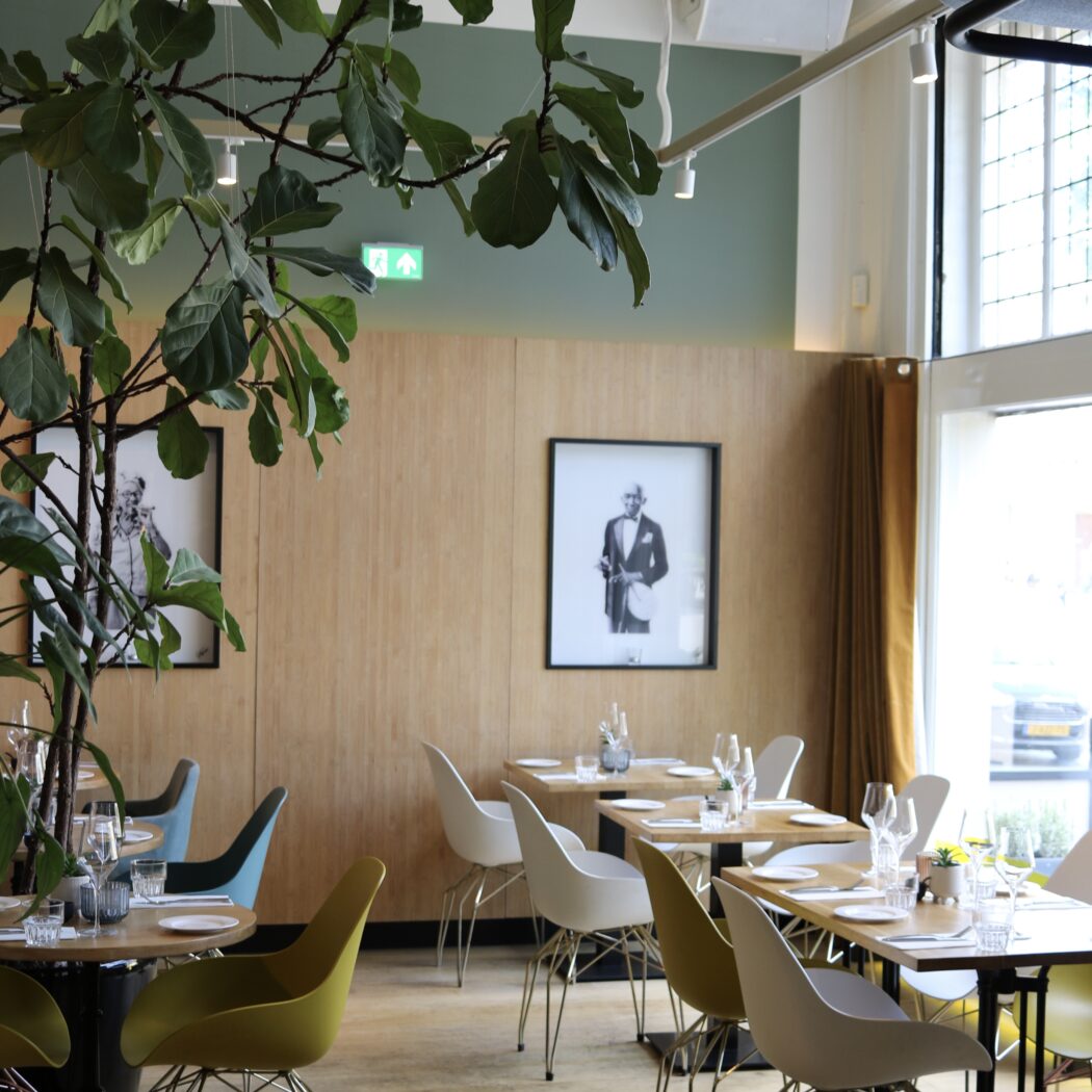 Sfeervol restaurant met houten tafels, witte en gele design stoelen, houten wanden en grote groene plant.
