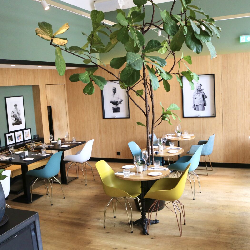 Stijlvol restaurant met houten wanden, mintgroene accenten, ingedekte tafels, kleurrijke designstoelen en grote ficus.