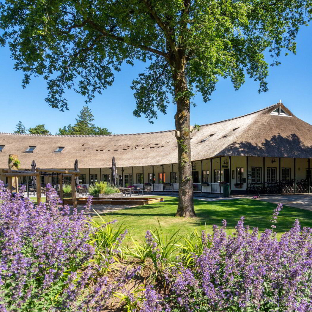't Wildryck Diever - Business Restaurants Top 500