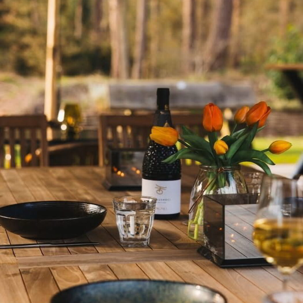 't Wildryck restaurant in Diever met terras