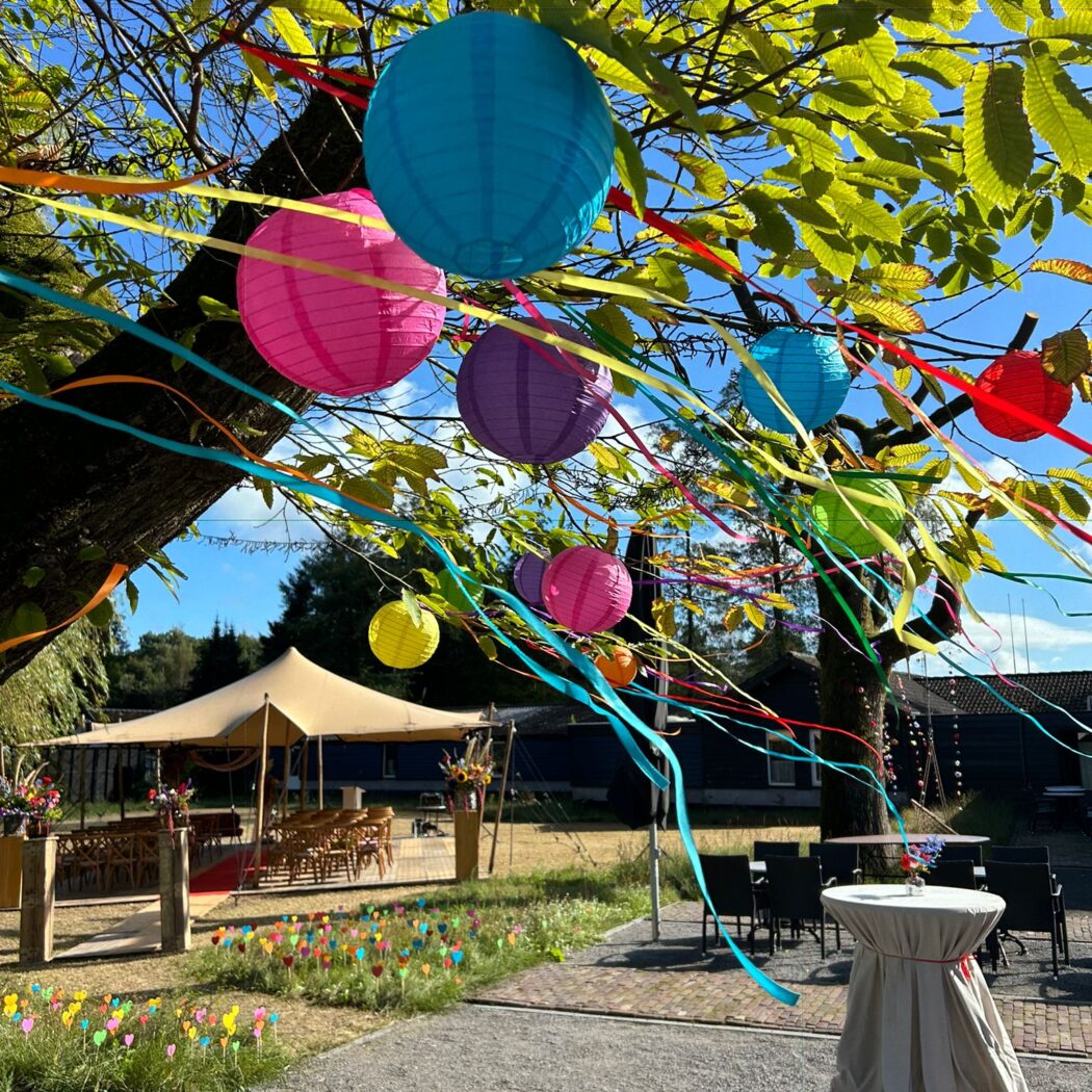 Kleurrijke papieren lampions en linten hangen feestelijk in een boom boven een buitenevenement.
