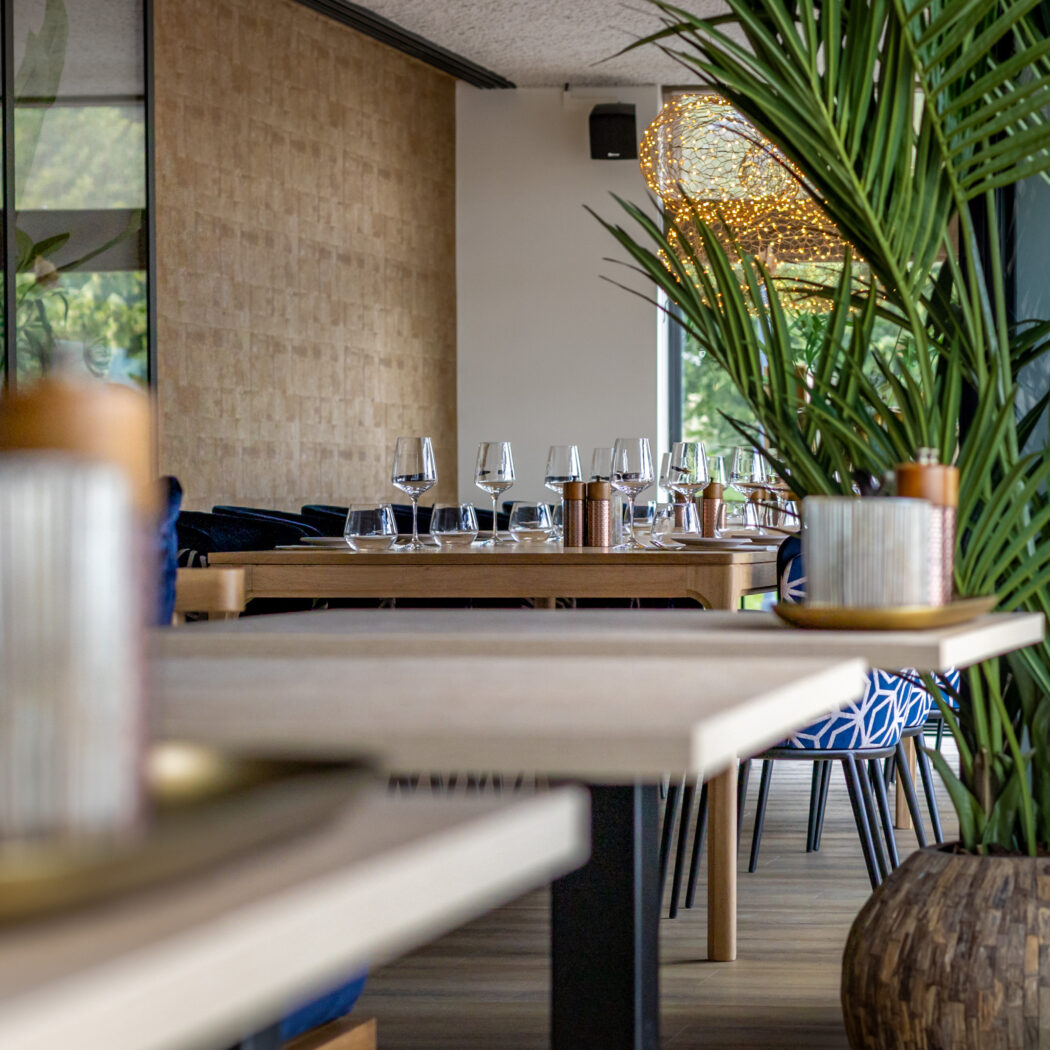 Sfeervol restaurant interieur met een gedekte houten tafel vol glazen en een grote groene palmplant.